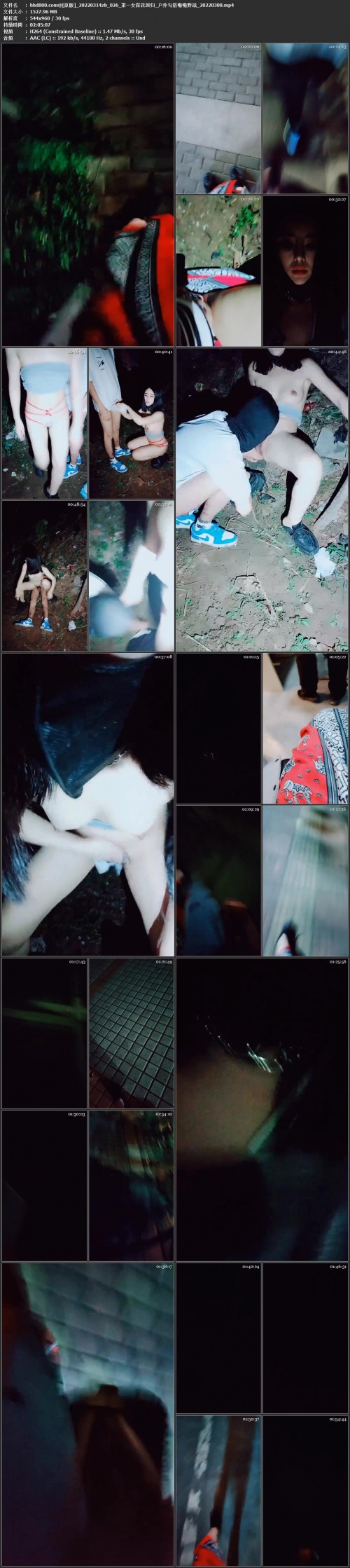 026___20220308.mp4.jpg