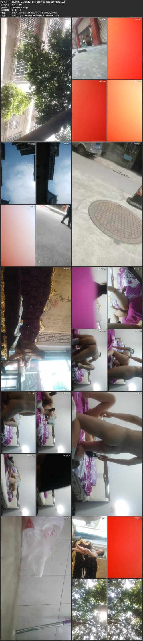 048___20220507.mp4.jpg